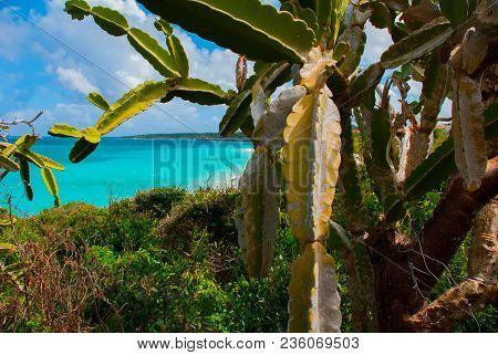 Beautiful Beach Bay Turquoise Sea Water And Cactus. Beautiful Scenery Holguin, Cuba.