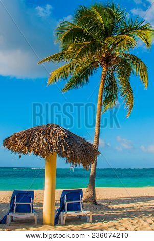 Holguin, Cuba, Playa Esmeralda. Umbrella And Two Lounge Chairs Around Palm Trees. Tropical Beach On 