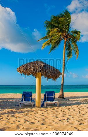 Paradise Landscape. Umbrella And Two Lounge Chairs Around Palm Trees. Tropical Beach. Caribbean Sea,