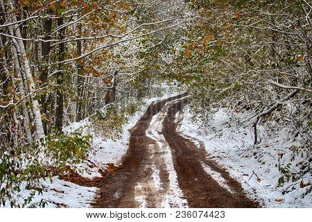 Forest Roads And Trails In Beginning Of Winter