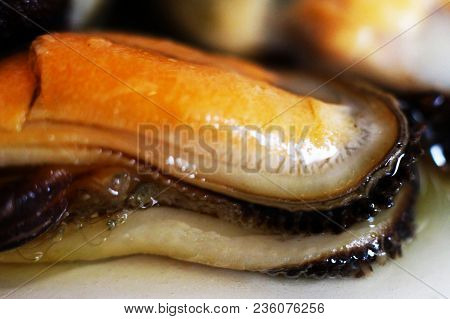 Mussels, Delicious Seafood On White Background, Macro
