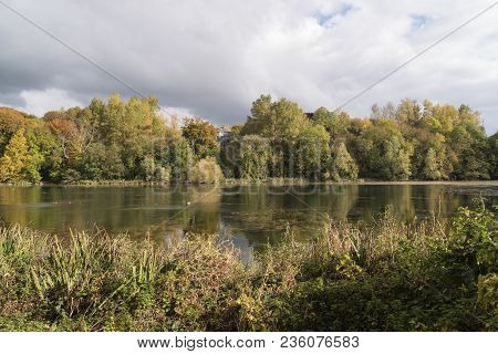 Smalllake Near Clonmel Surrounded By Autumn Vegetation.