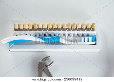 Dental Model And Dental Equipment On Blue Background, Concept Image Of Dental Background. Dental Hyg