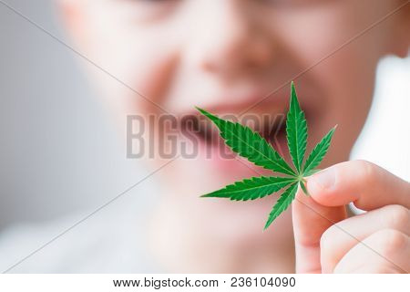 Smiling Kid Child Holding A Hemp Leaf. Concepts Of Using Marihuna For Medicinal Purposes For Childre