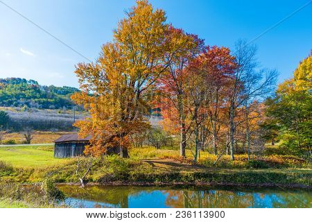 Old Country Shed