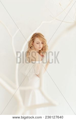 Classical Young Gourgeous Bride. Studio Interior Fashion Shot Of Fashion Model In Wedding Dress Stan