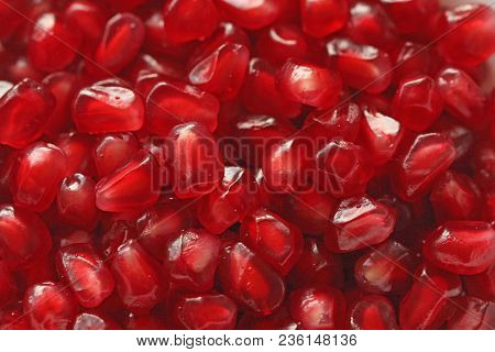 Red Background Of Grain Red Grenades. Big Ripe Red Granets Or Garnets. Fruits Of Red Ripe Pomegranat