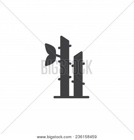 Bamboo Plant Vector Icon. Filled Flat Sign For Mobile Concept And Web Design. Indian Cane Simple Sol