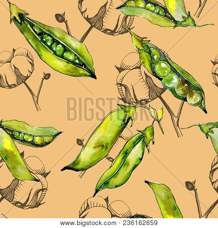 Pea Sed Wild Vegetables In A Watercolor Style Pattern. Full Name Of The Vegetables: Pea Sed. Aquarel