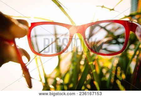 The Girl Is Holding Sunglasses In Her Hand Against The Background Of Blurry Palms. Travel Concept