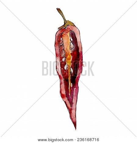 Pepper Wild Vegetables In A Watercolor Style Isolated. Full Name Of The Vegetables: Pepper . Aquarel