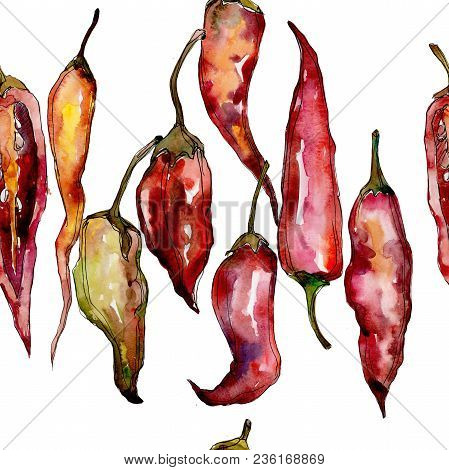 Pepper Wild Vegetables In A Watercolor Style Pattern. Full Name Of The Vegetables: Pepper . Aquarell