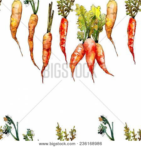 Carrot Healthy Food In A Watercolor Style Pattern. Full Name Of The Vegetables: Carrot. Aquarelle Wi