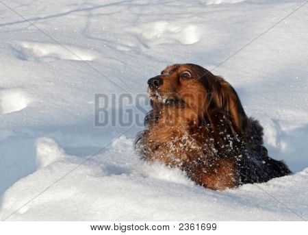 Em uma neve profunda