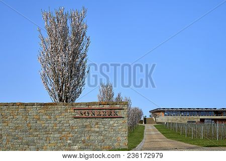 Popice, Czech Republic - 09 April, 2018: Blooming Fruit Trees Behind The Fence On The Left Side Of R