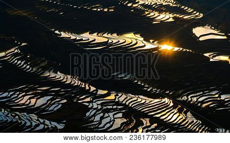 Yuanyang Rice Terrace At Sunset, Yunnan, China