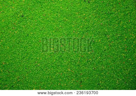 Texture Of A Colored Granular Sand Close Up. Green Grains