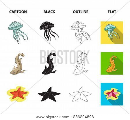 Jellyfish, Squid And Other Species.sea Animals Set Collection Icons In Cartoon, Black, Outline, Flat