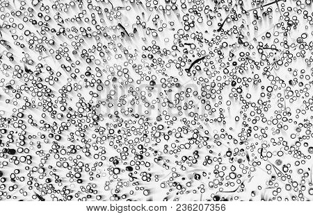 Abstract Black And Whitel Seamless Pattern From Circles