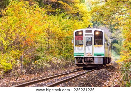 Autumn fall foliage with white train commuter in Fukushima Japan