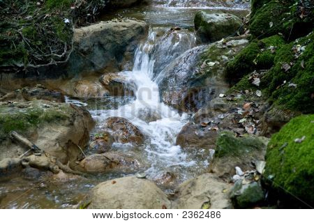 Creek i skoven