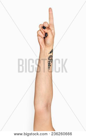 Hand holding variation of object