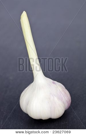 Tootbrush příbor