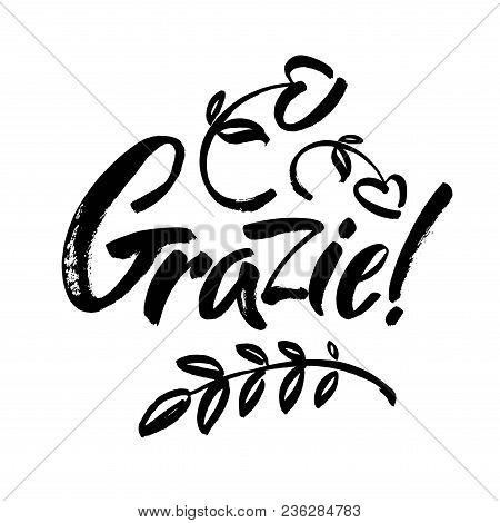 Grazie - Thank You In Italian. Calligraphy Inscription, Black Word On White Background. Handwritten 