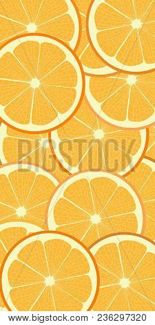 Fresh Juicy Orange Background. Fruit Banner Concept.
