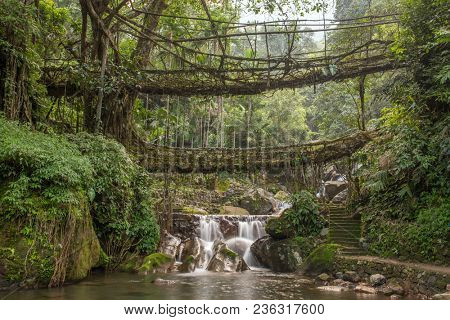 Famous Double Decker living roots bridge near Nongriat village, Cherrapunjee, Meghalaya, India. This bridge is formed by training tree roots over years to knit together.