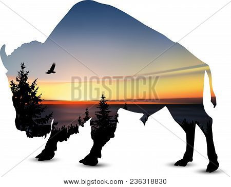 Silhouette Of Bison With Coniferous Trees, Sea Horizon And Colorful Sky.