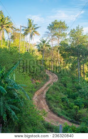 Dirt Winding Road Up In The Jungles At Dawn Under Blue Sky
