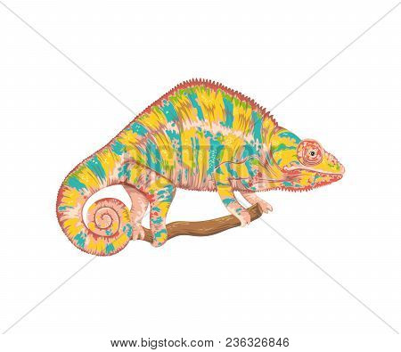 Chameleon. Isolated On White Background. Vector Illustration In Watercolor Style