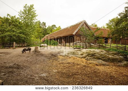 Traditional Old Farm At Skansen Park, The First Open-air Museum And Zoo, Located On The Island Djurg