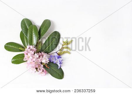Spring Botanical Floral Composition. Dcorative Corner. Pink Japanese Cherry Blossoms, Blue Scilla Fl