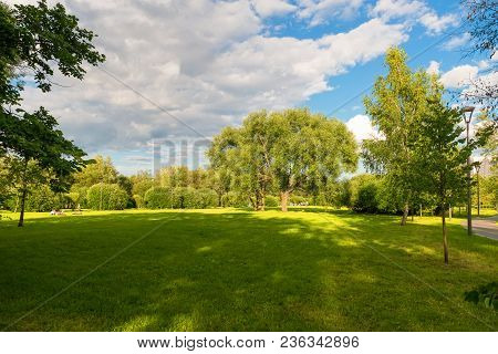Moscow, Russia - 23 July, 2017: A Large Oak Tree On A Glade In A Walking Area On A Warm Summer Eveni