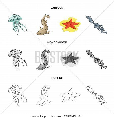 Jellyfish, Squid And Other Species.sea Animals Set Collection Icons In Cartoon, Outline, Monochrome 