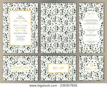 Wedding Invitations Natural Mediterranean Card Set With Olive Brunches On White Background. Fashion 