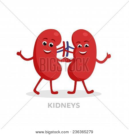 Strong Healthy Kidneys Cartoon Characters Isolated On White Background. Happy Kidneys Icon Vector Fl