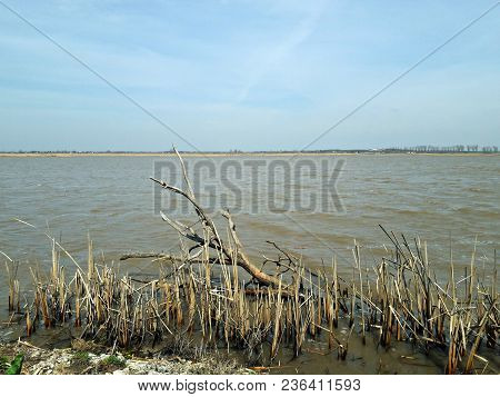 View Over The Delta Of Neajlov River In Comana, Ilfov, Romania