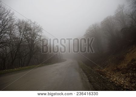 Landscape With Beautiful Fog In Forest On Hill Or Trail Through A Mysterious Winter Forest With Autu
