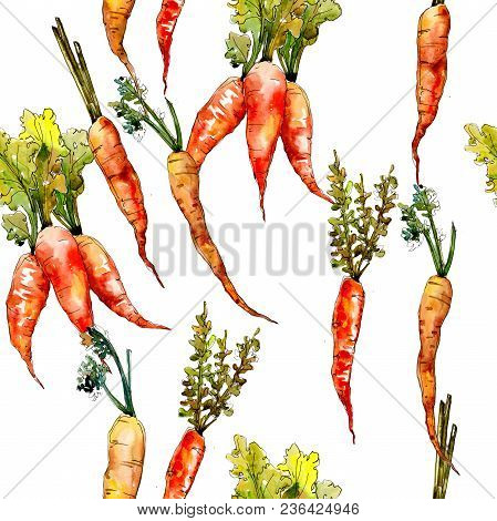 Carrot Healthy Food In A Watercolor Style Pattern. Full Name Of The Vegetables: Carrot. Aquarelle Wi