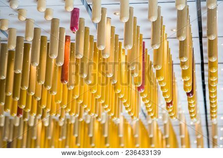 Ceiling Decorations That Consists Of Narrow Yellow Tubes Filled With Food Spices