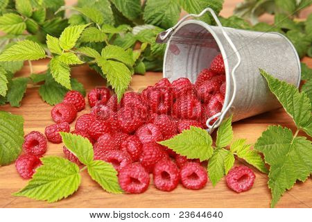 Raspberries