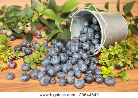 Blueberries