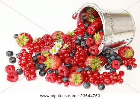 Berries