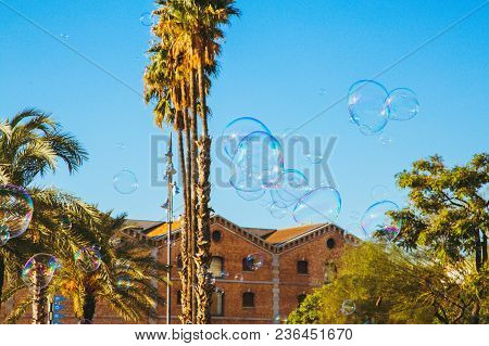 Palm Trees With Beautiful Sun Flare In The Background In Barcelona, Spain
