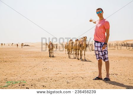 Young Man Pointing At Wild Camels In The Middle Of A Desert