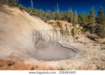 Hot boiling mud at Mud Volcano area in Yellowstone National Park, Wyoming, USA