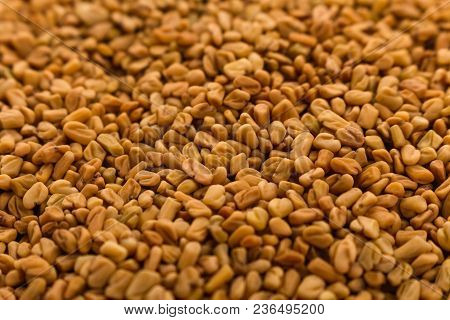 Fragrant Grains Of Fenugreek On A Rustic Background.